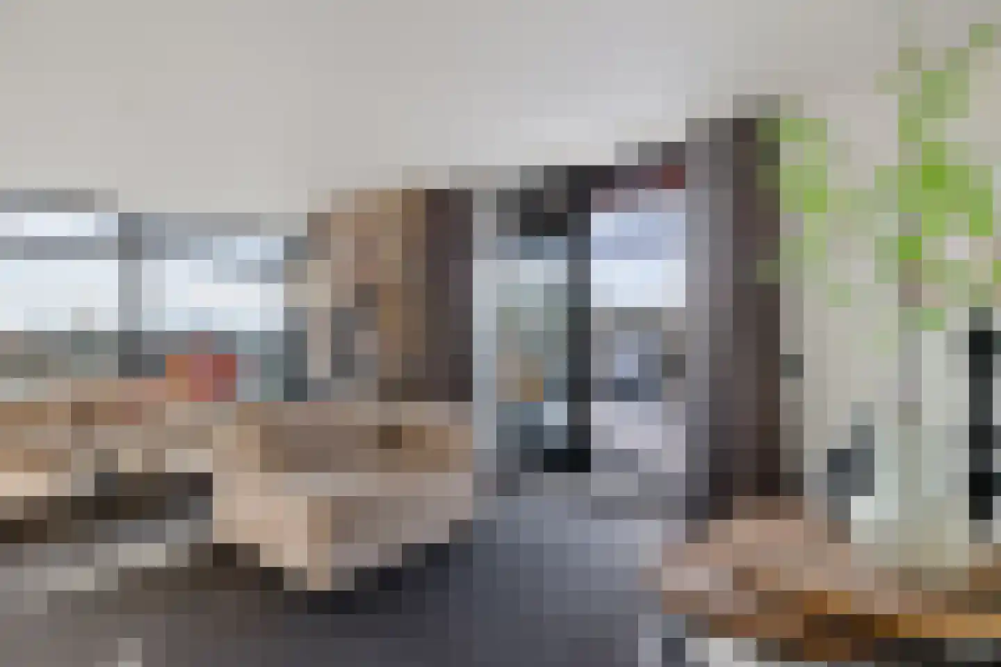Laan van de Eekharst 114 Emmen thumbnail 29