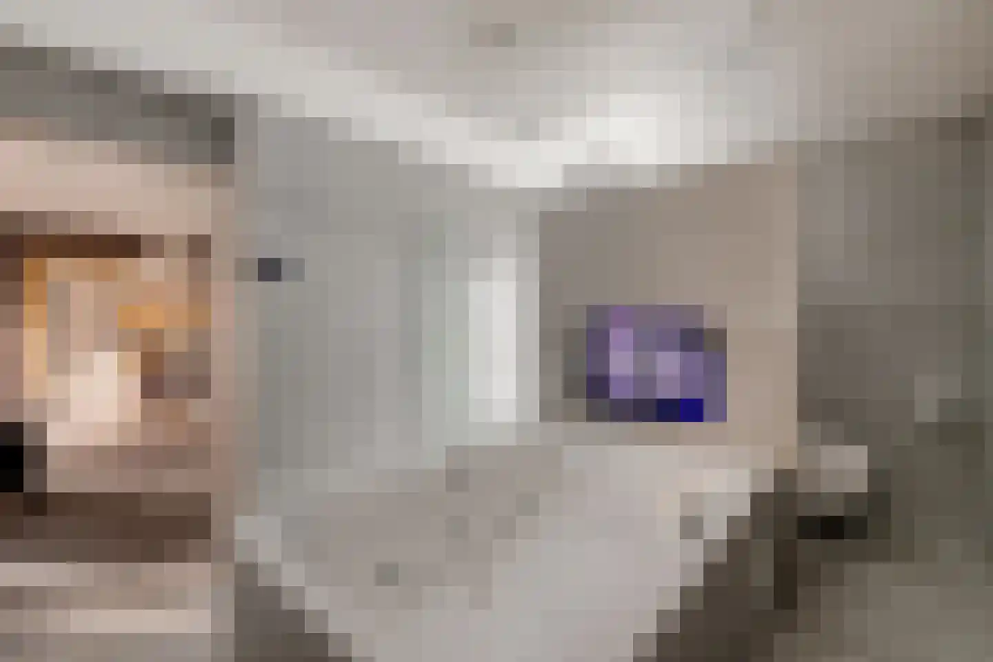 Laan van de Eekharst 114 Emmen thumbnail 37