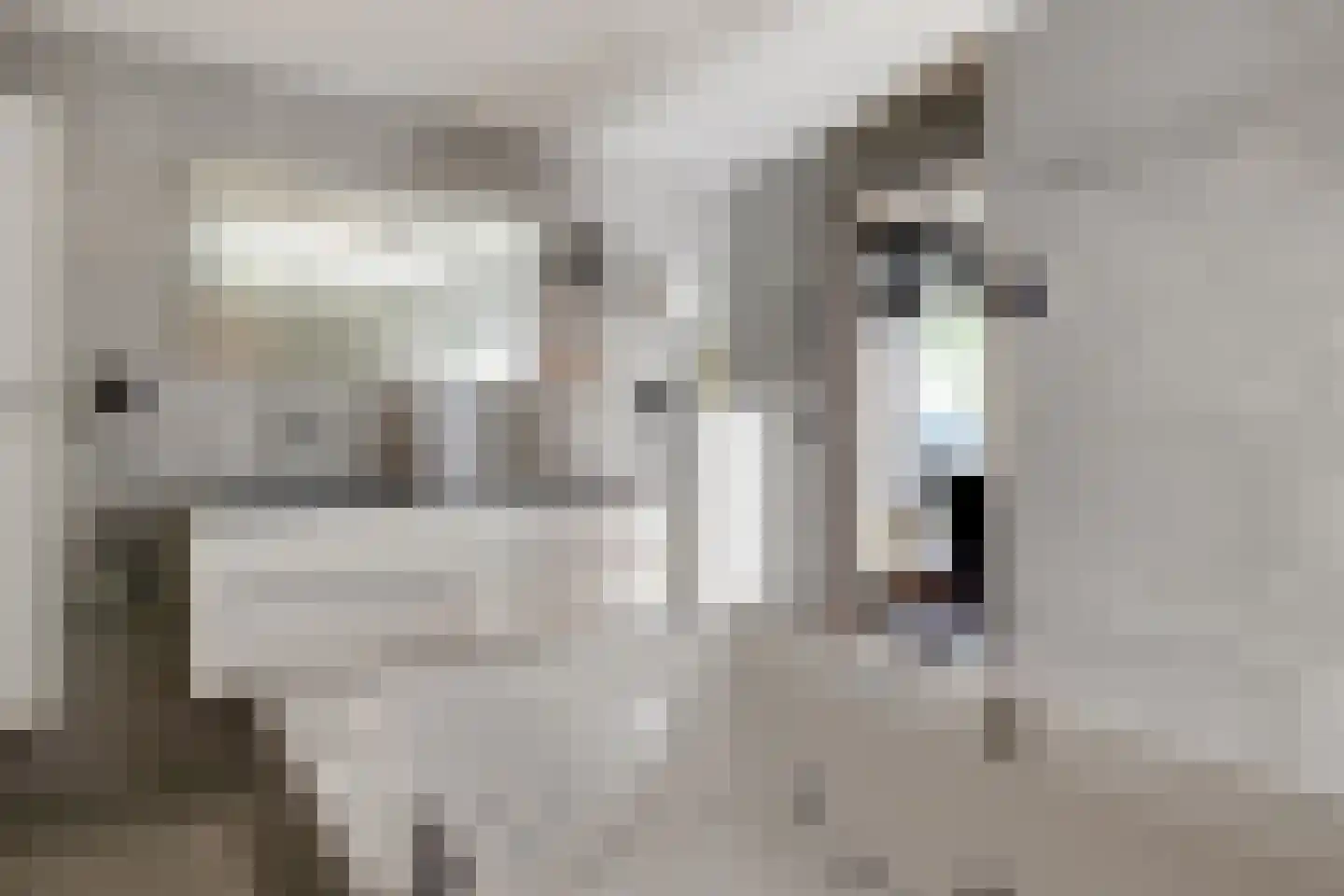 Laan van de Eekharst 114 Emmen thumbnail 38