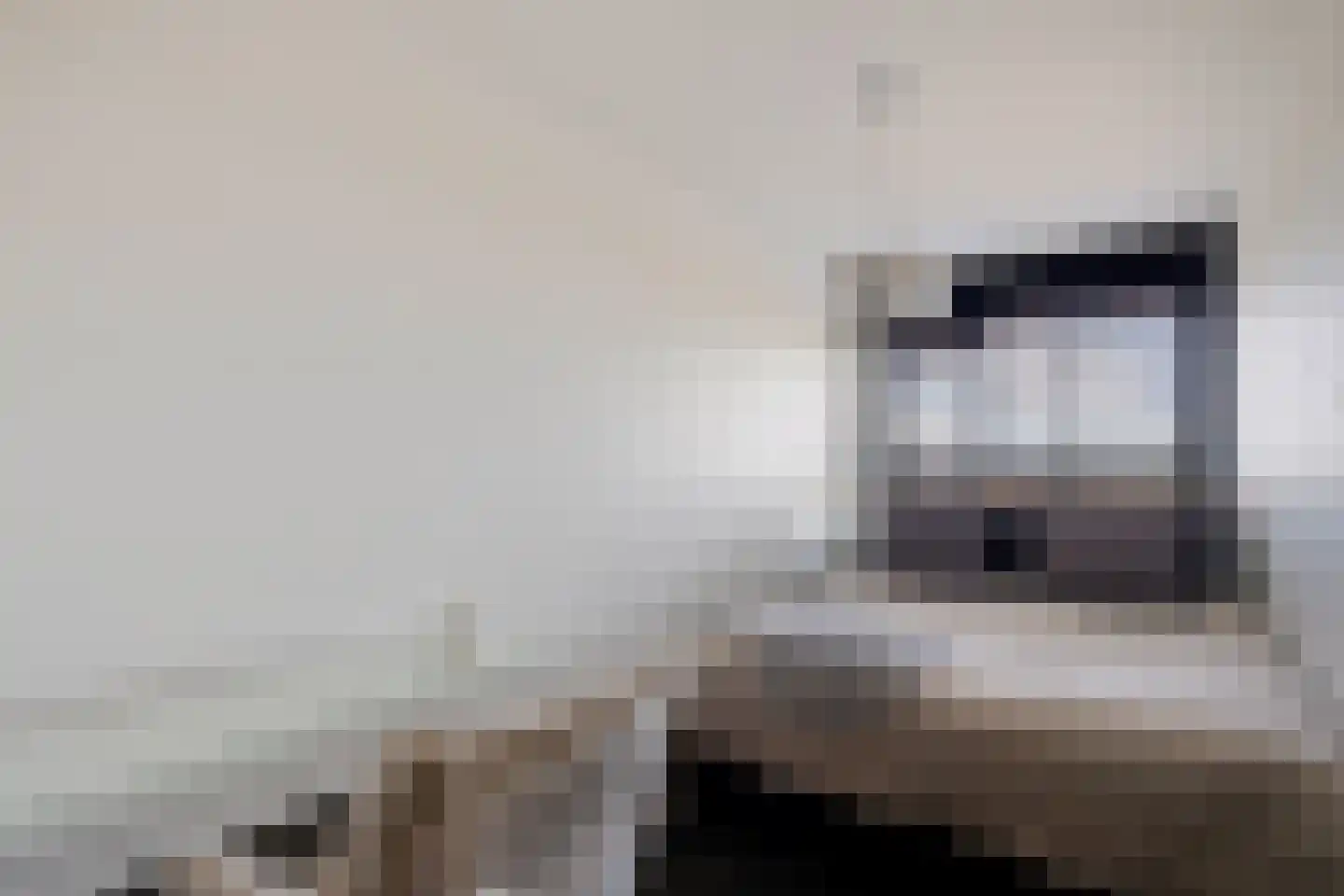 Laan van de Eekharst 114 Emmen thumbnail 42