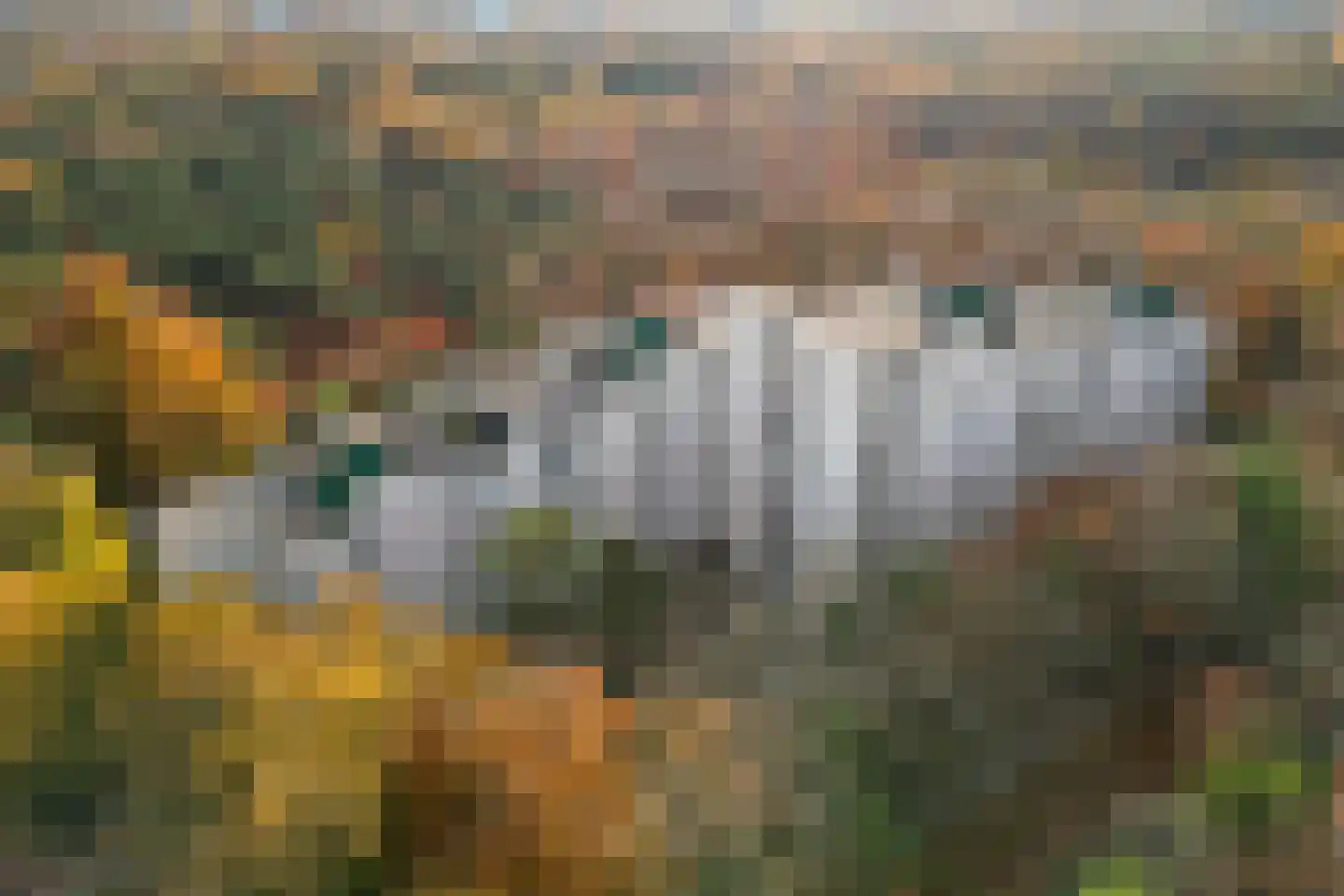 Laan van de Eekharst 114 Emmen thumbnail 49