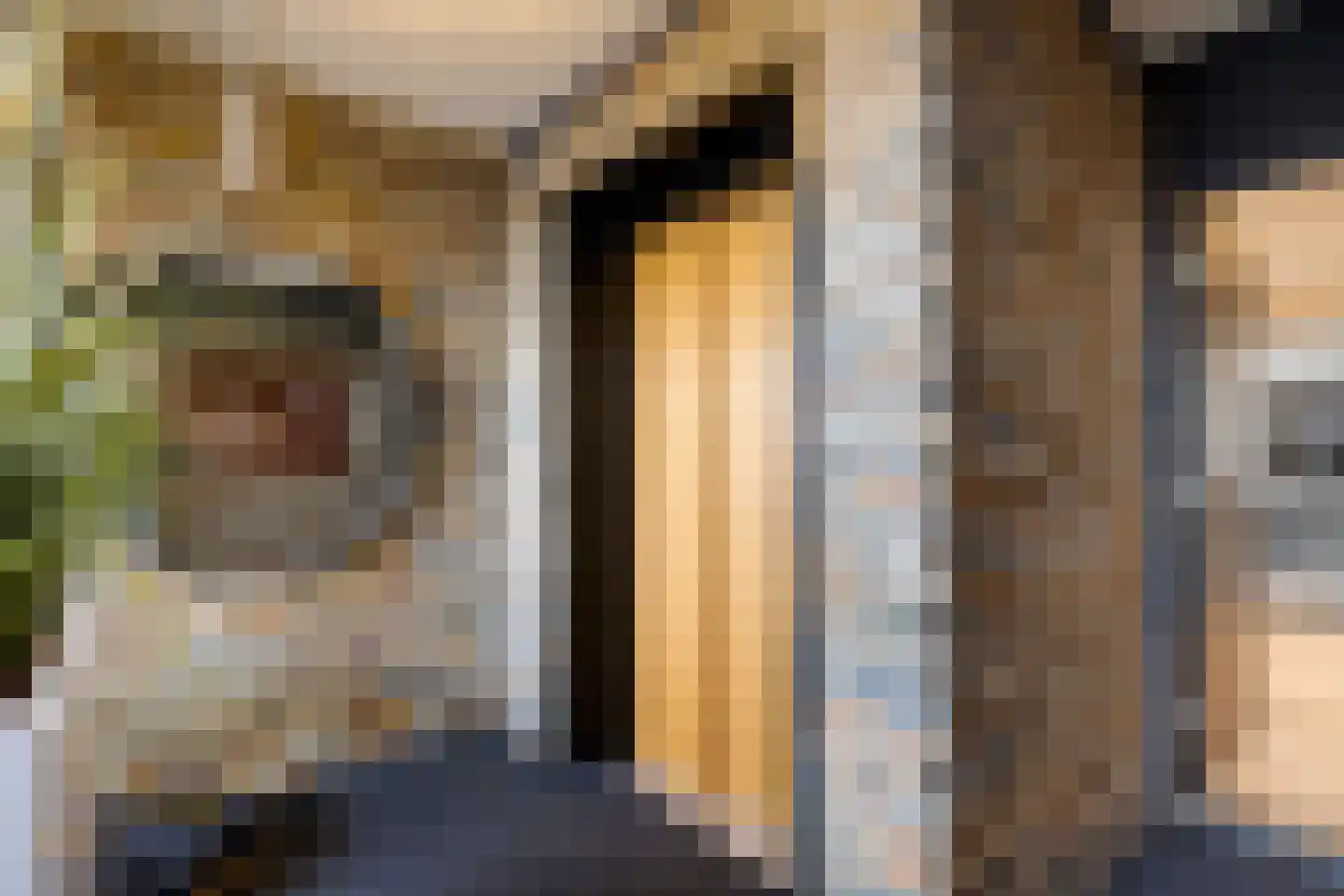 Laan van de Eekharst 114 Emmen thumbnail 6