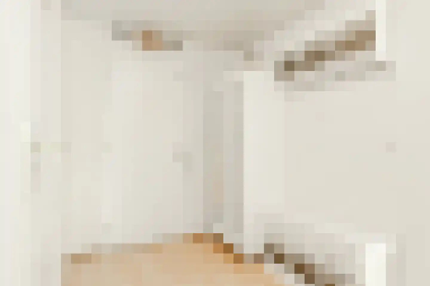 Laan van de Eekharst 124 Emmen thumbnail 13