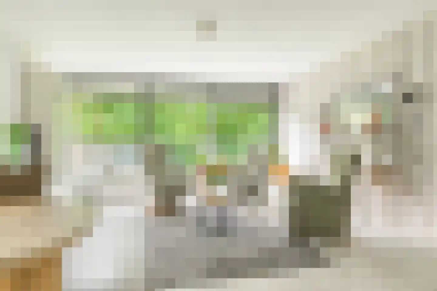 Laan van de Eekharst 124 Emmen thumbnail 15