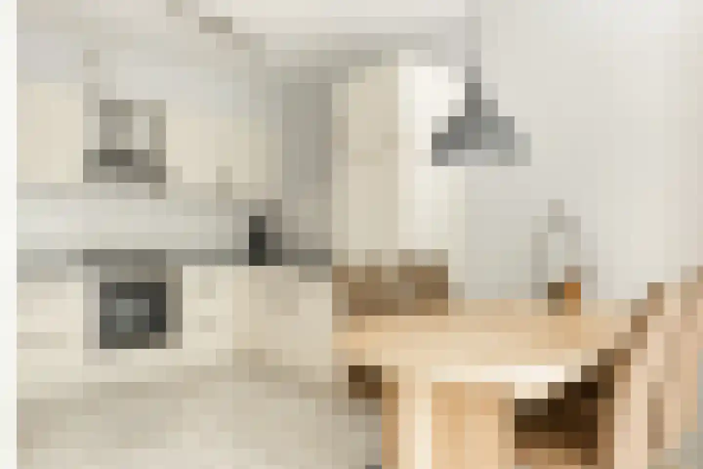 Laan van de Eekharst 124 Emmen thumbnail 16