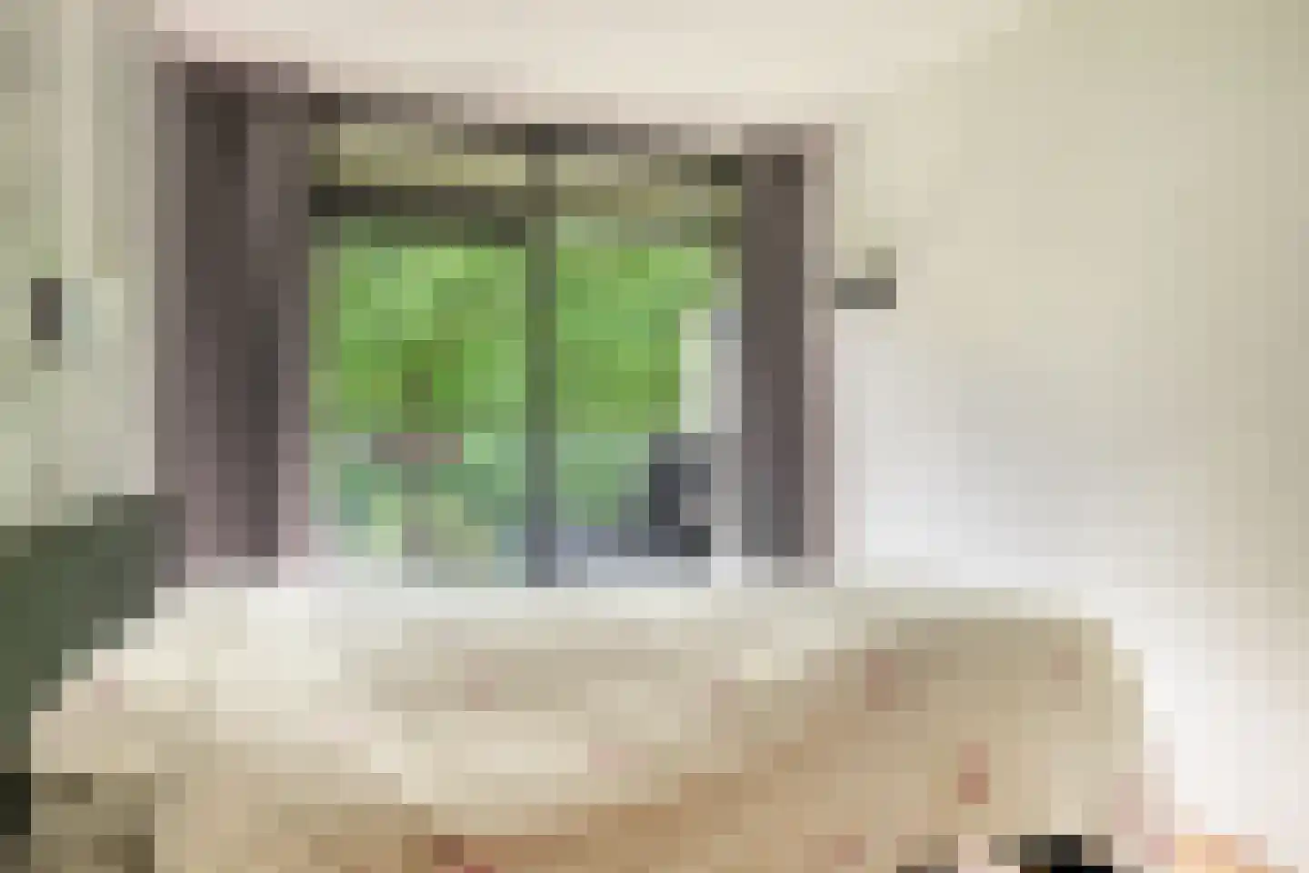 Laan van de Eekharst 124 Emmen thumbnail 21