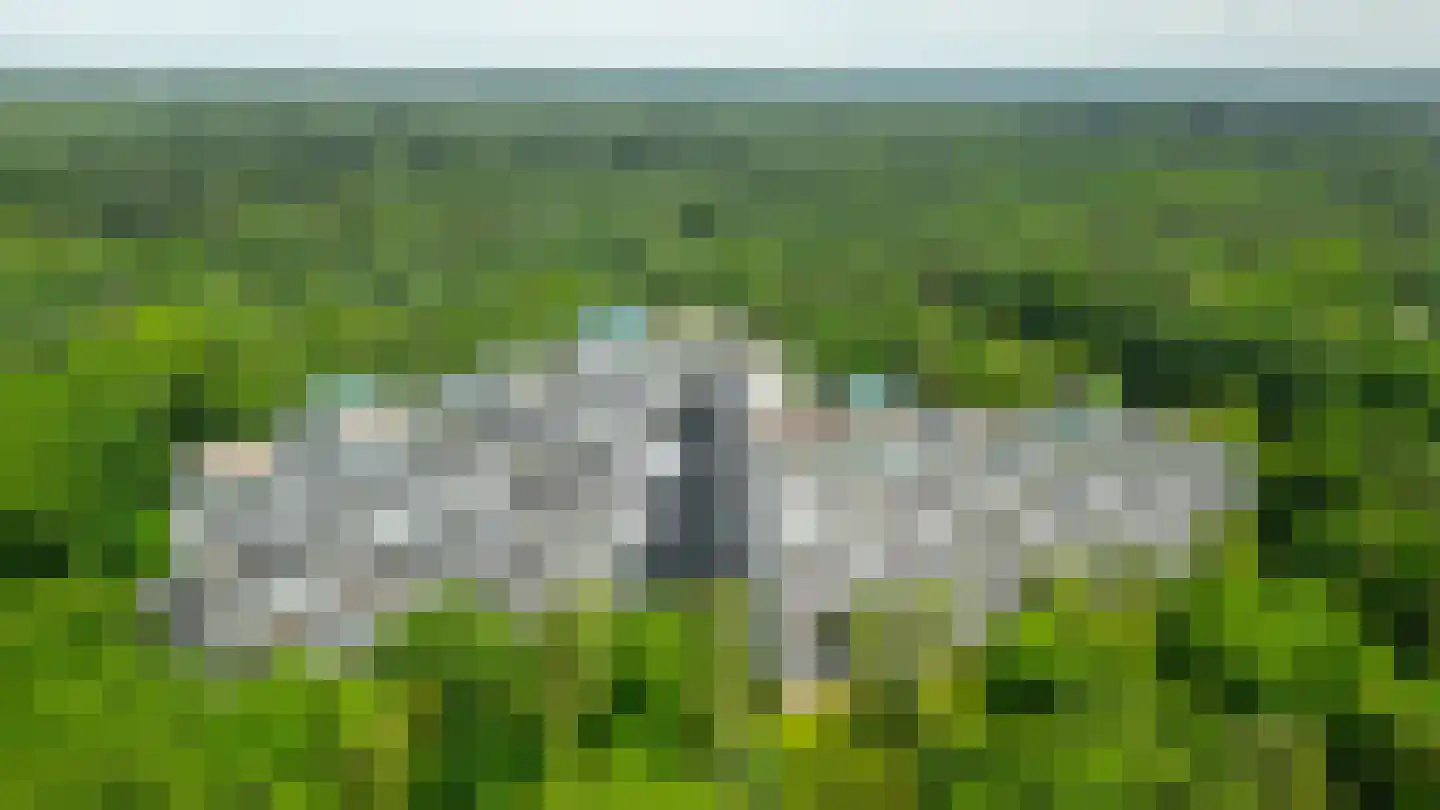 Laan van de Eekharst 124 Emmen thumbnail 6