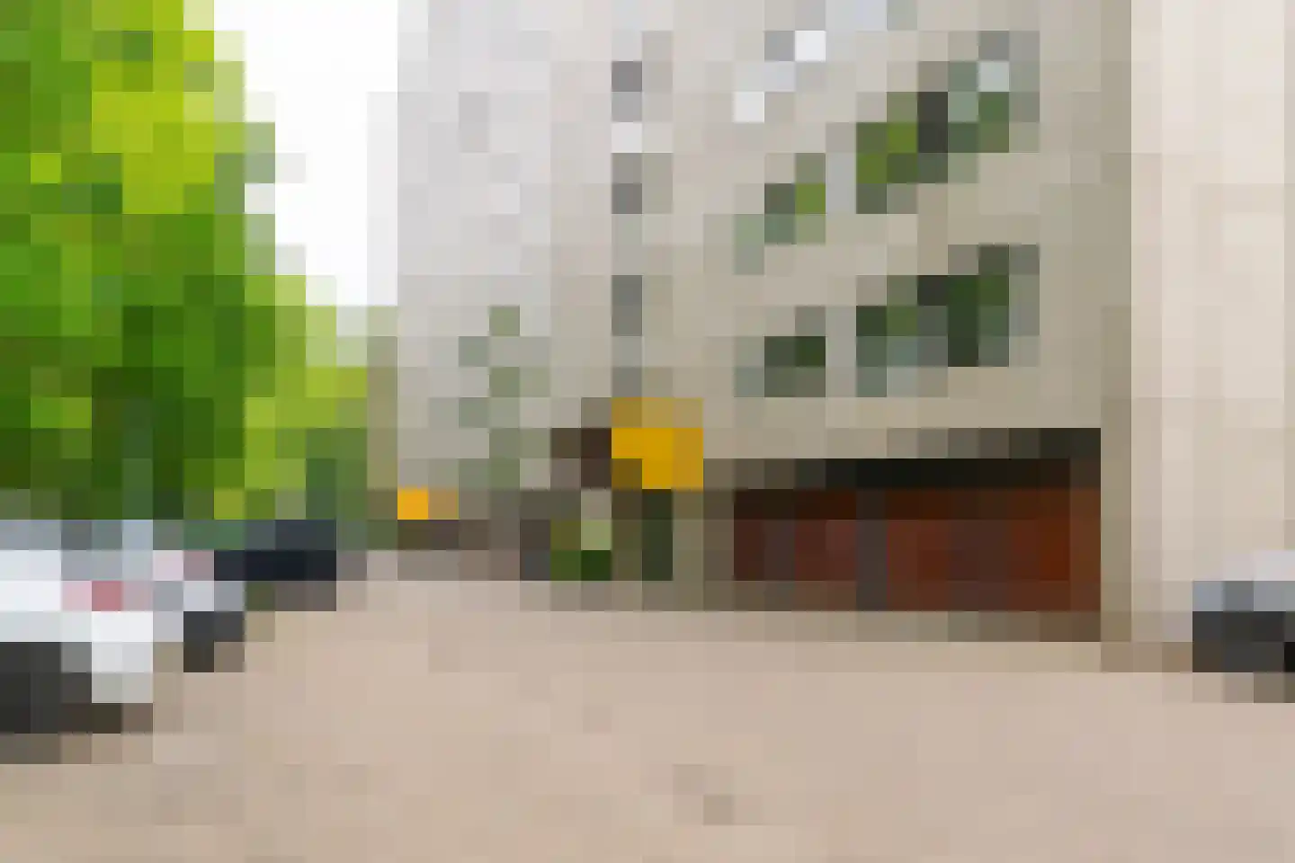 Laan van de Eekharst 124 Emmen thumbnail 7