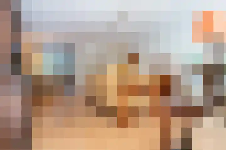 Laan van de Eekharst 132 Emmen thumbnail 16