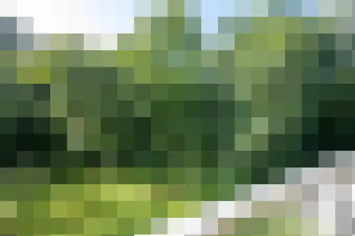 Laan van de Eekharst 132 Emmen thumbnail 31