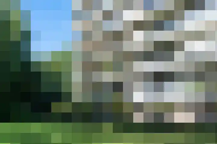 Laan van de Eekharst 132 Emmen thumbnail 34