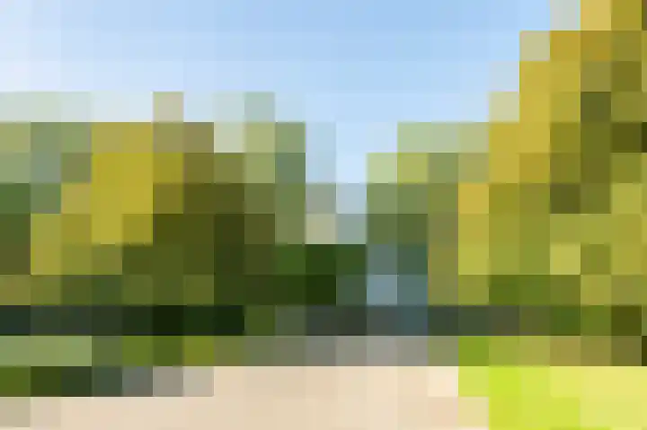 Laan van de Eekharst 132 Emmen thumbnail 35