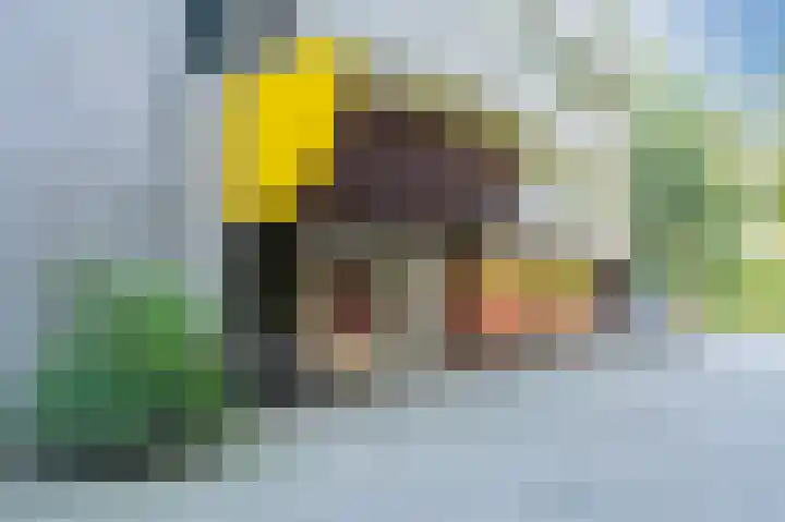 Laan van de Eekharst 132 Emmen thumbnail 4
