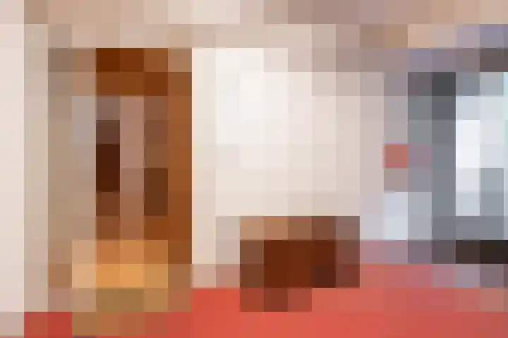 Laan van de Eekharst 132 Emmen thumbnail 6