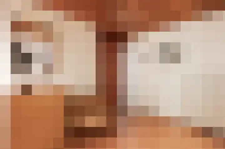 Laan van de Eekharst 132 Emmen thumbnail 8