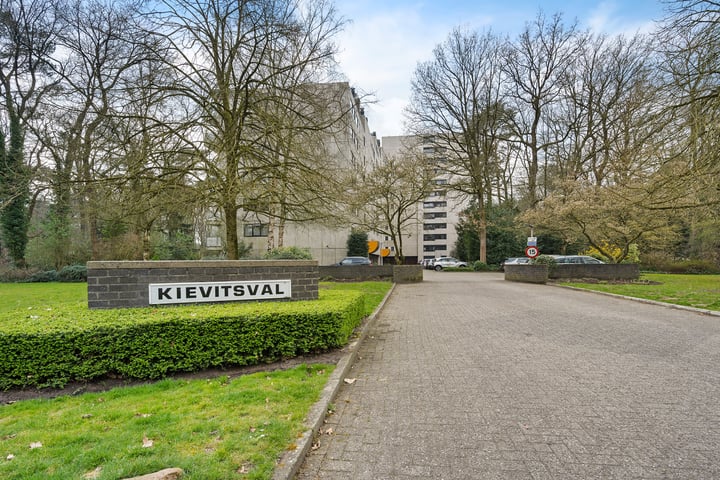 Laan van de Eekharst 142 in Emmen Foto