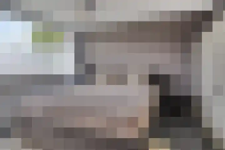 Laan van de Eekharst 153 Emmen thumbnail 13