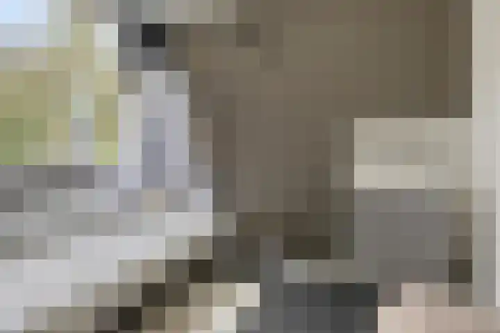 Laan van de Eekharst 153 Emmen thumbnail 16