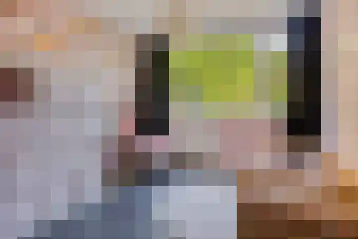 Laan van de Eekharst 153 Emmen thumbnail 17