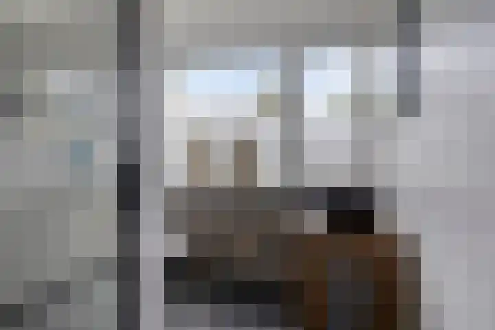 Laan van de Eekharst 153 Emmen thumbnail 18