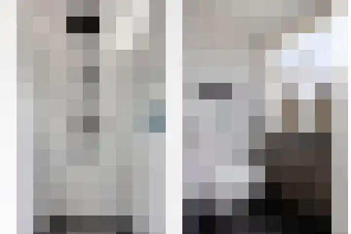 Laan van de Eekharst 153 Emmen thumbnail 19