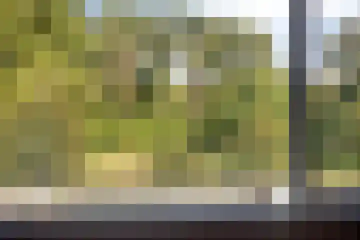 Laan van de Eekharst 153 Emmen thumbnail 20