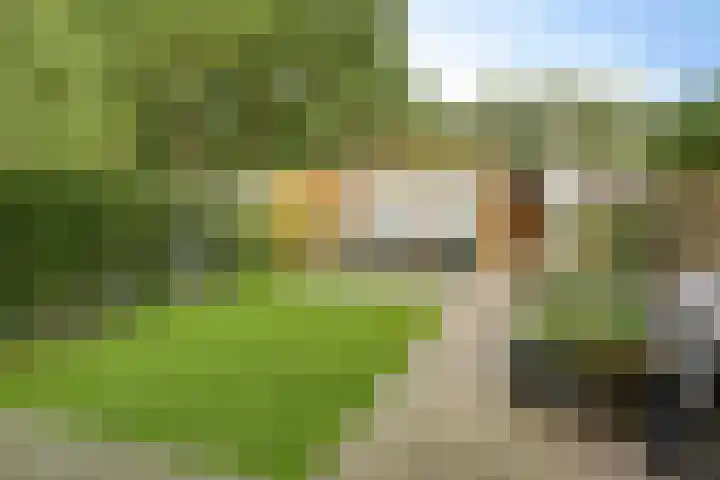 Laan van de Eekharst 153 Emmen thumbnail 21
