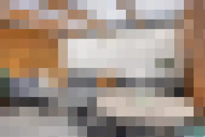 Laan van de Eekharst 153 Emmen thumbnail 23