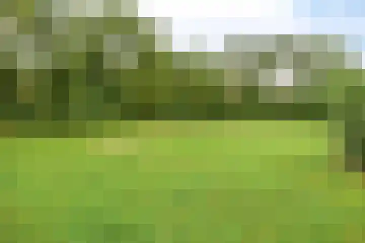 Laan van de Eekharst 153 Emmen thumbnail 26