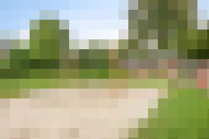 Laan van de Eekharst 153 Emmen thumbnail 27
