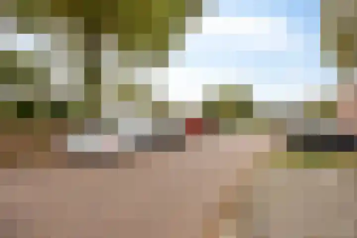 Laan van de Eekharst 153 Emmen thumbnail 28