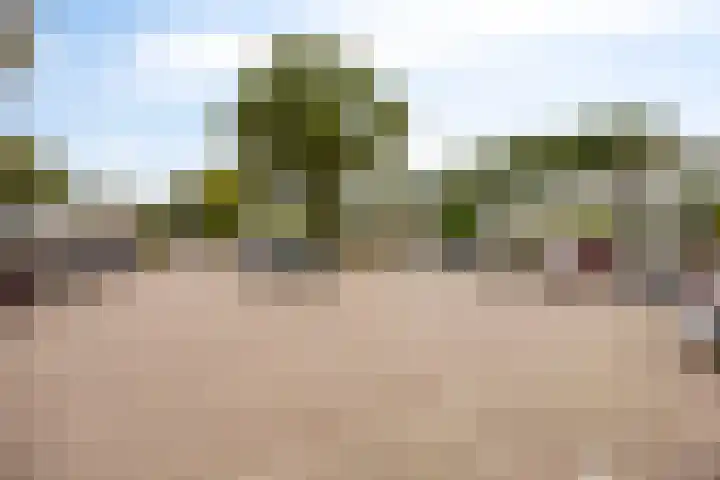 Laan van de Eekharst 153 Emmen thumbnail 29