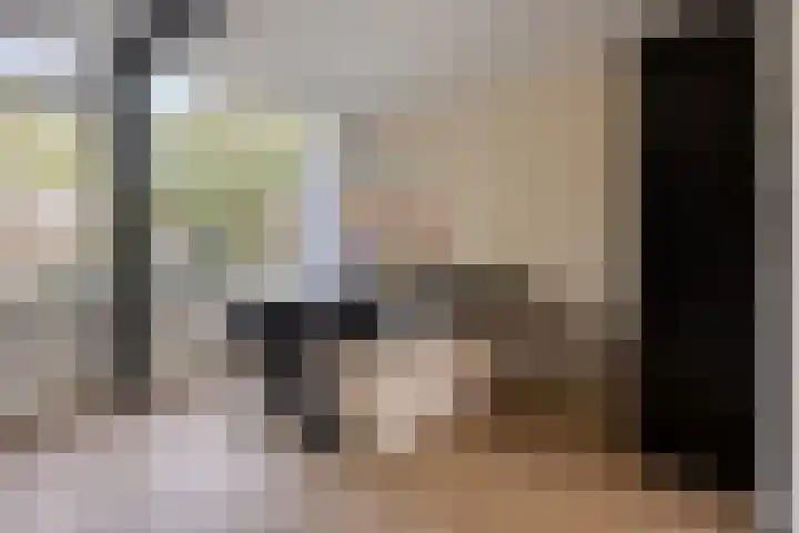 Laan van de Eekharst 153 Emmen thumbnail 5
