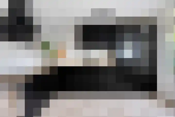 Laan van de Eekharst 153 Emmen thumbnail 8