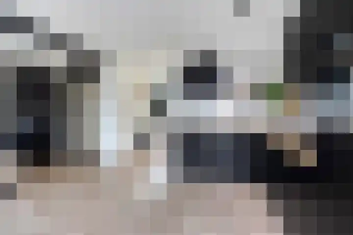 Laan van de Eekharst 153 Emmen thumbnail 9
