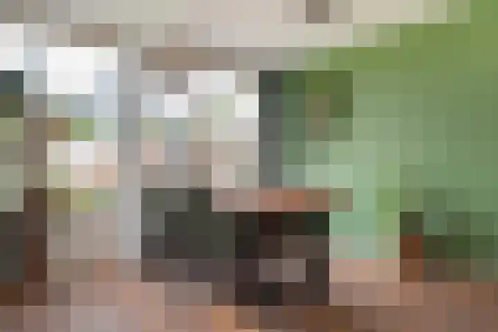 Laan van de Eekharst 159 Emmen thumbnail 10