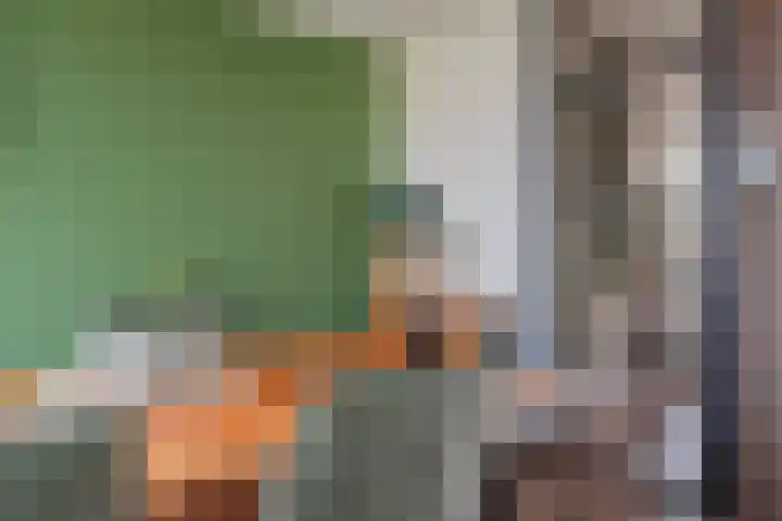 Laan van de Eekharst 159 Emmen thumbnail 12
