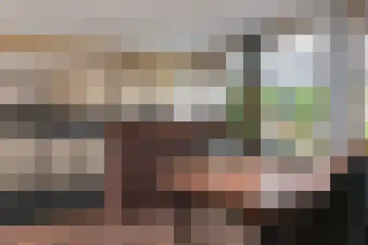 Laan van de Eekharst 159 Emmen thumbnail 13