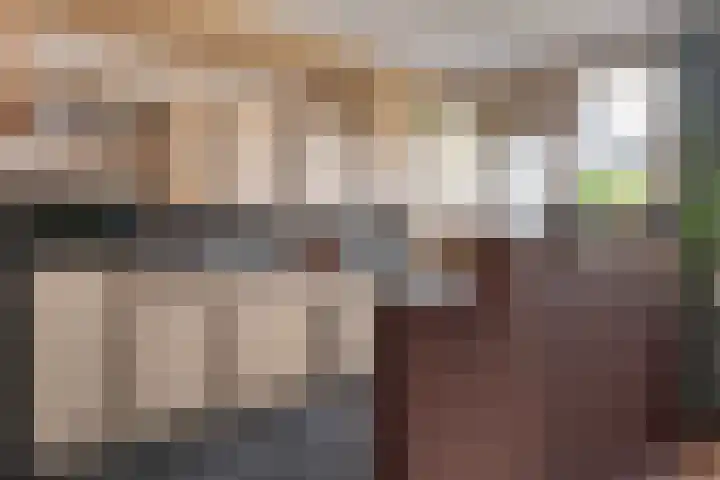 Laan van de Eekharst 159 Emmen thumbnail 14