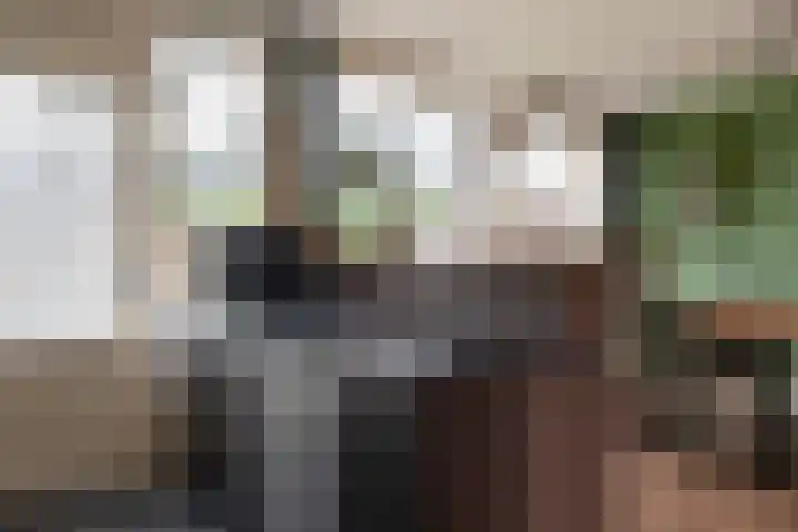 Laan van de Eekharst 159 Emmen thumbnail 17