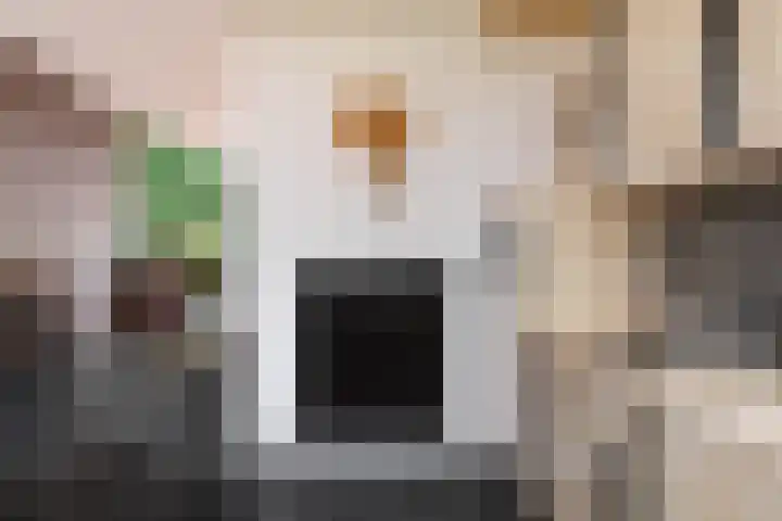 Laan van de Eekharst 159 Emmen thumbnail 18