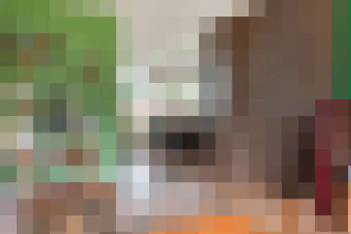 Laan van de Eekharst 159 Emmen thumbnail 19