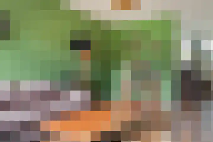 Laan van de Eekharst 159 Emmen thumbnail 20