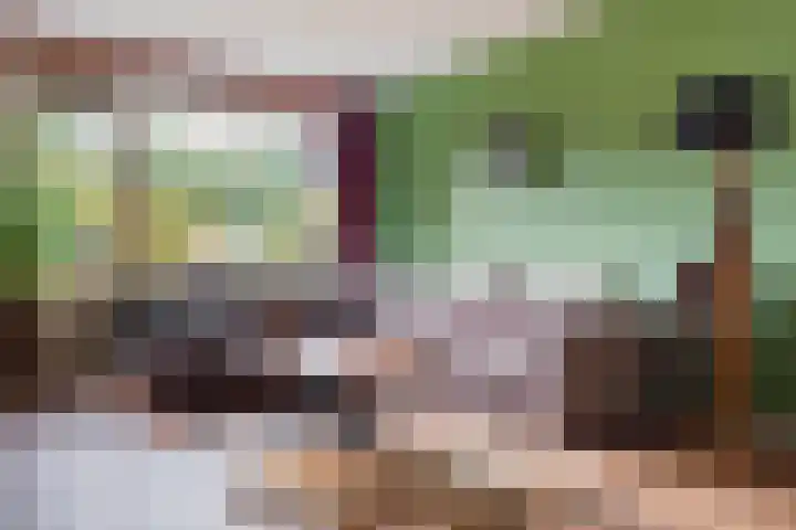 Laan van de Eekharst 159 Emmen thumbnail 21