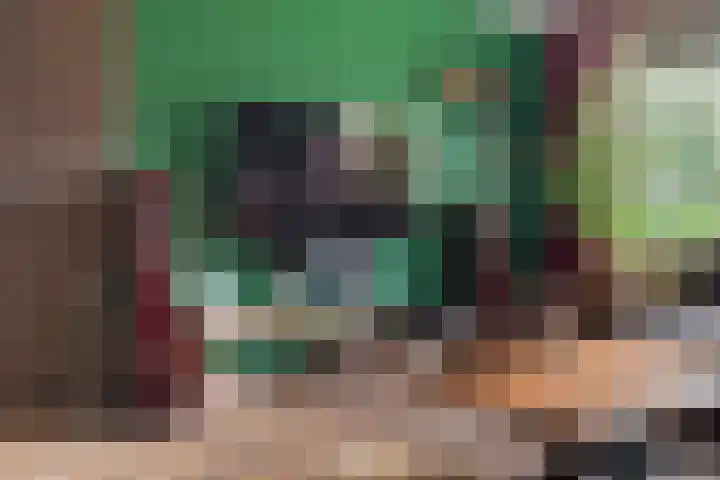 Laan van de Eekharst 159 Emmen thumbnail 22