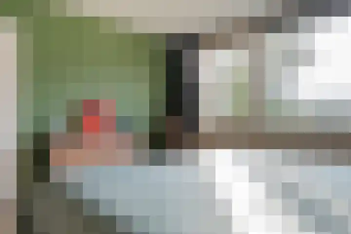 Laan van de Eekharst 159 Emmen thumbnail 30