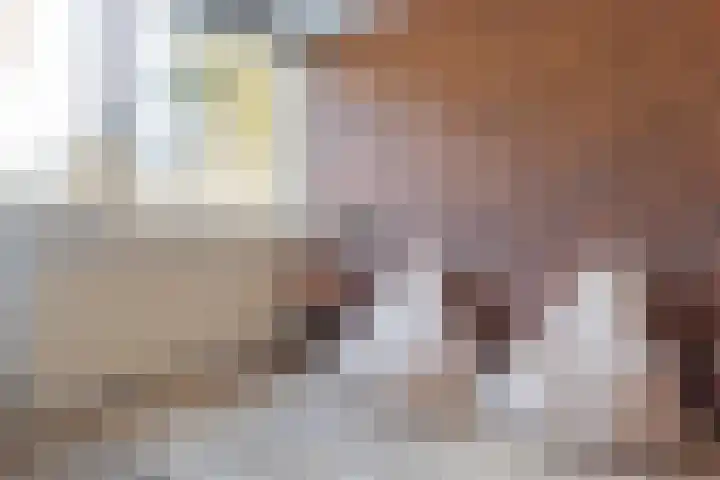 Laan van de Eekharst 159 Emmen thumbnail 34