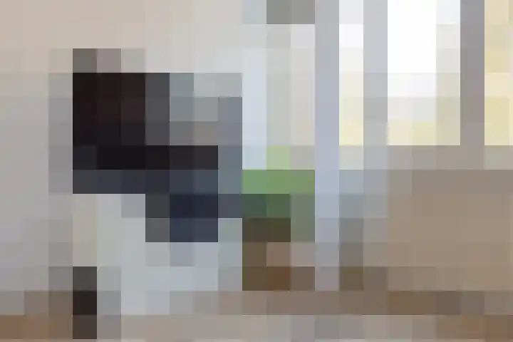 Laan van de Eekharst 159 Emmen thumbnail 35