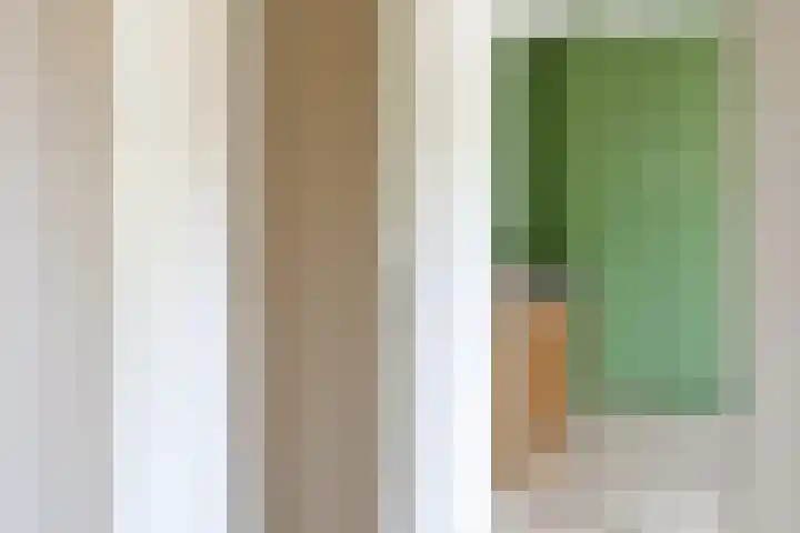 Laan van de Eekharst 159 Emmen thumbnail 36