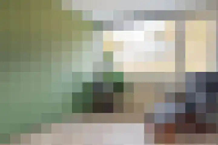 Laan van de Eekharst 159 Emmen thumbnail 37